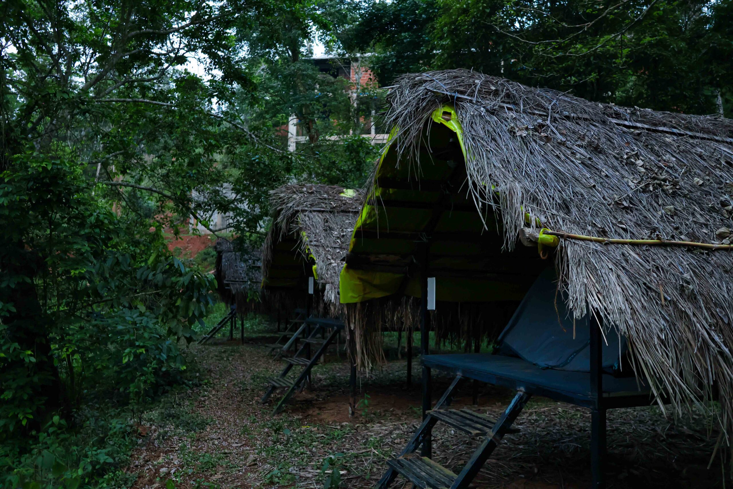 Wild Soul Retreat