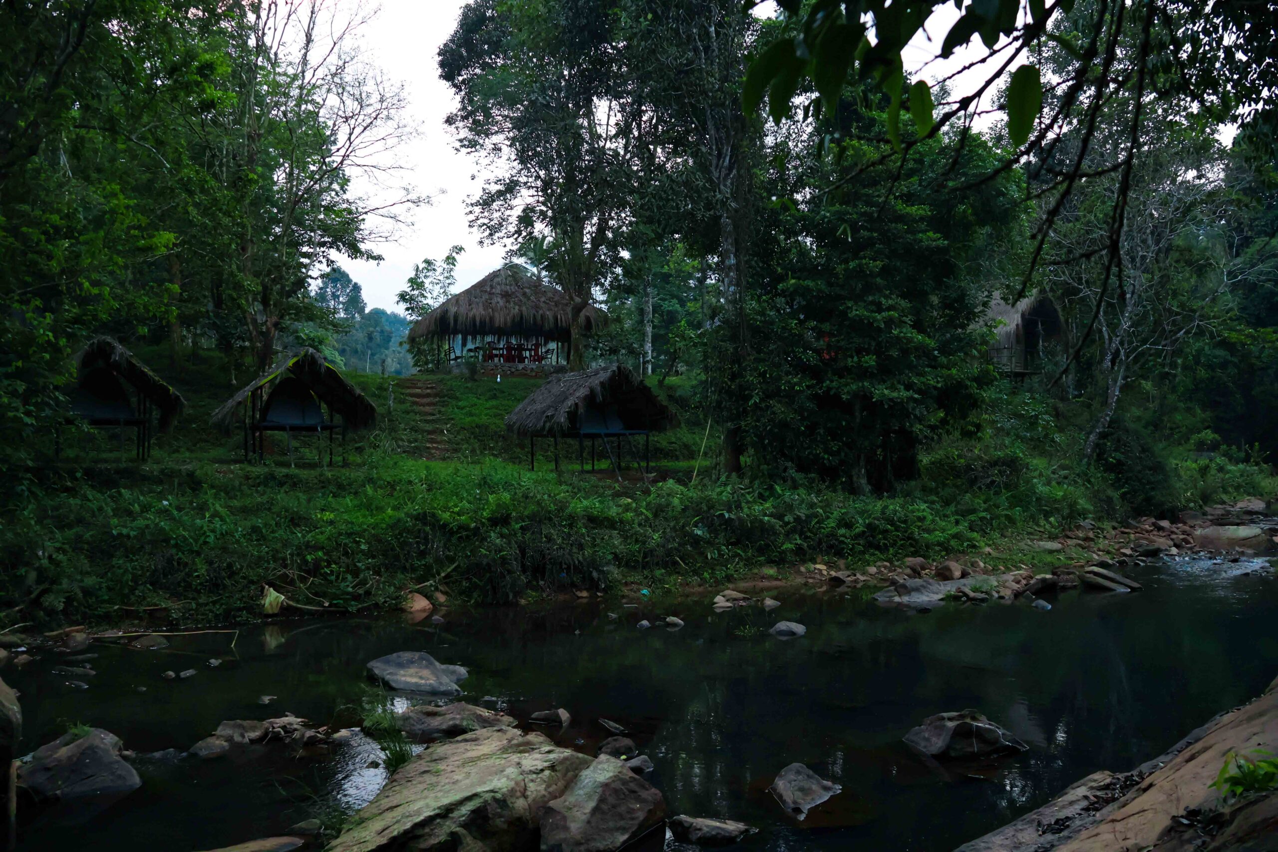 Wayanad Wanderer